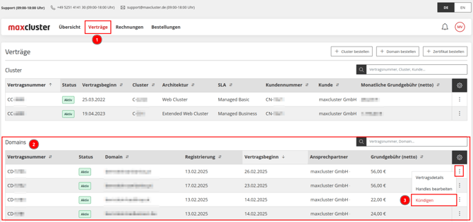 ApplicationCenter-Verträge-Domains-Menü-Kündigen