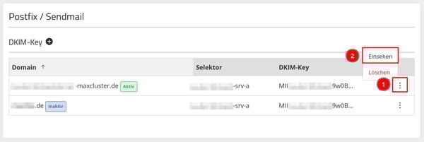 DKIM-Postfix/Sendmail-einrichten-DKIM-Key-einsehen