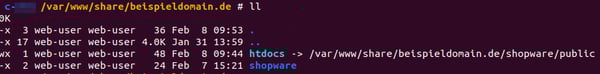 DocumentRoot-SSH-Befehl-Symlink-anlegen