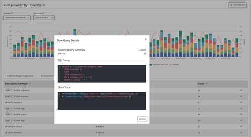ManagedCenter-APM-powered-by-tideways-SlowQueries-Detailinformationen-1
