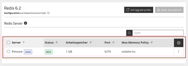 ManagedCenter-Datenbanken-Redis-RedisServer-Port
