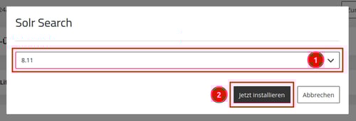 ManagedCenter-Suchengines-Solr-installieren-Solr-Search-Jetzt-installieren