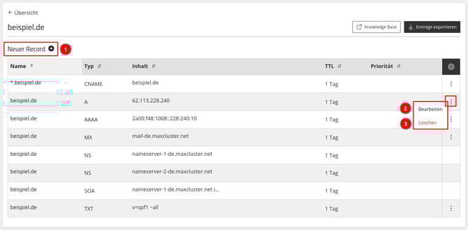 ManagedCenter-Systemdienste-DNS-Zone-öffnen-Neuer-Record+
