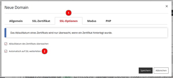 ManagedCenter-Webserver-Apache-Domains+-Neue-Domain-Tab-SSL-Optionen