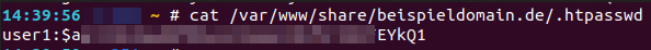 ManagedCenter-Webserver-NGINX-Passwortschutz-Shell-.htpasswd-passwort-anzeige