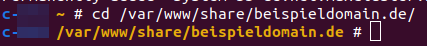 ManagedCenter-Webserver-NGINX-Passwortschutz-Shell-Ordner-Domain