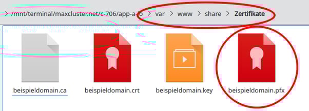 SSL-Zertifikat-PFX-Konvertieren-Ordner-Passwortgeschützte-Datei