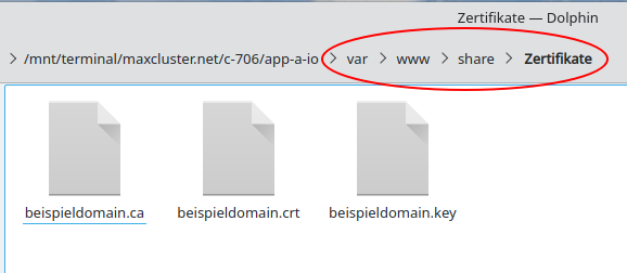SSL-Zertifikat-PFX-Konvertieren-Ordner-Zertifikate