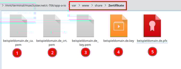SSL-Zertifikat-PFXinPEM-Konvertieren-Ordner-Zertifikate-Alle-Dateien