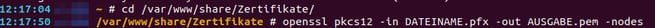 Terminal-Shell-ausgabe-PFX-PEM